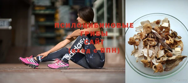 хмурый Абинск